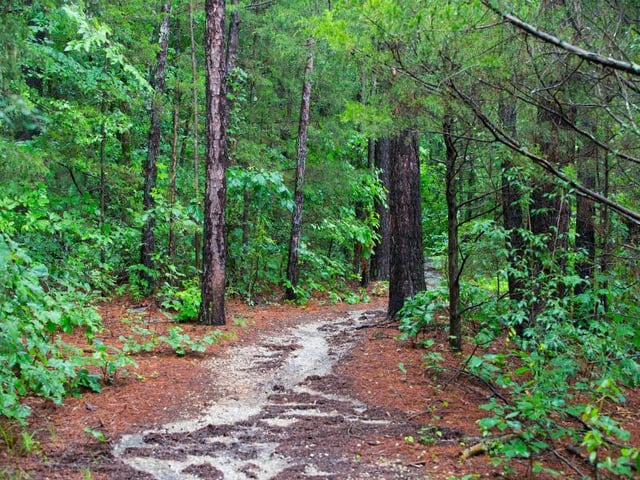 White_River_Trail_Hero.jpg