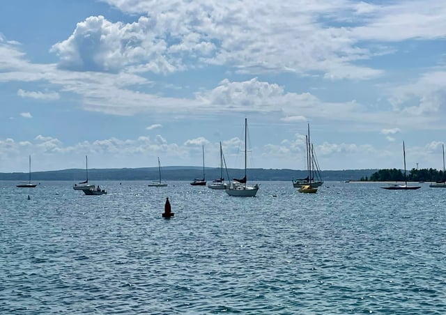 Sailboats Harbor Springs.jpg
