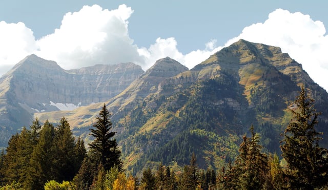 Timp_Pano_1croppelllowres.jpg