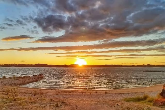 images - 2026-07-29T160928.561.jpeg