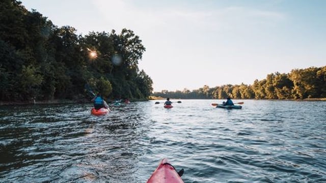 ghows-OH-201109968-af183388