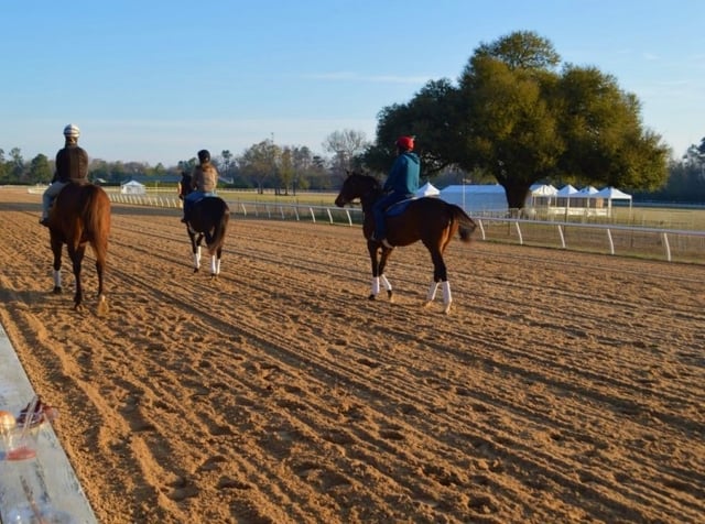 Visit Aiken 2