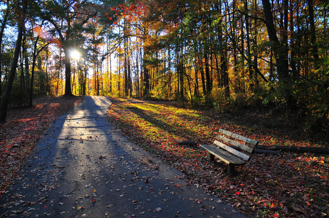 Explore Nash County 1