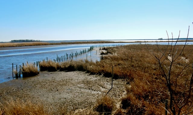 Channel-Blackwater-Wildlife-Refuge-Cambridge-MD