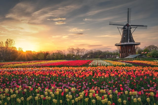 Discover Holland2