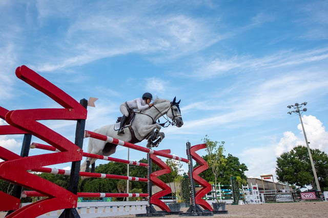 Equestrian sports at Fox Lea Farm