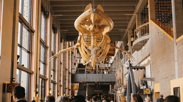 Untitled design (21).png