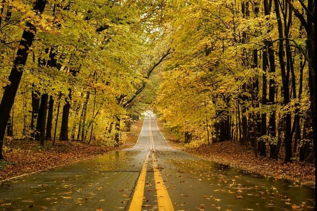 23275658_2211313518894314_6768080255114901488_o