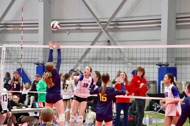 Rockin' Rockford 5.jpg