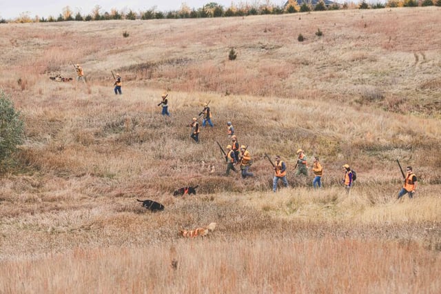 Pheasant hunting.jpg