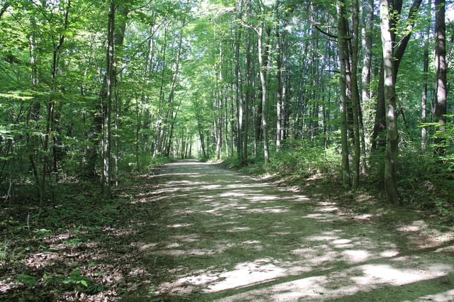 Explore Flint & Genesee 11