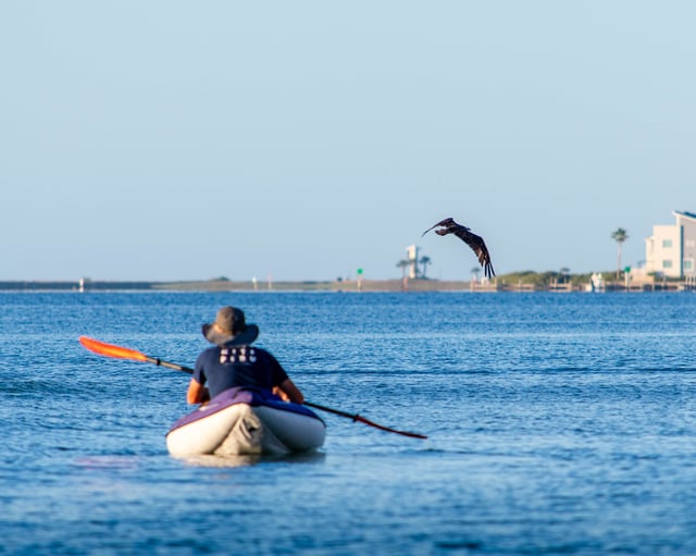 South Padre Island Convention & Visitors Bureau17