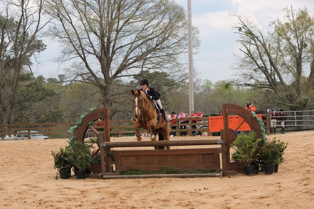 Auburn-Opelika Tourism 5