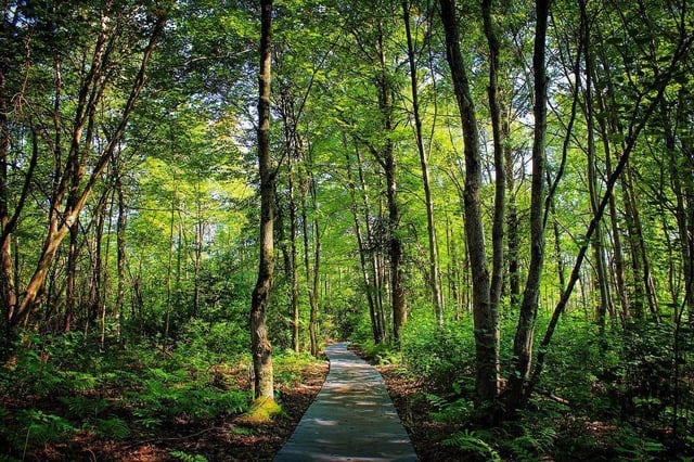 19984008_2042949279064073_1649067338466037244_o