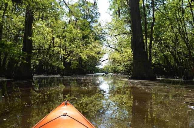 19466560_10154874833413460_153518022818502586_o