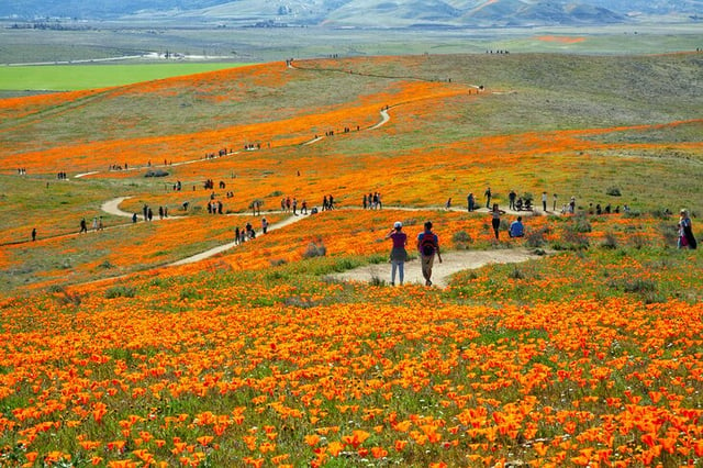 lancaster ca nature walk.jpeg