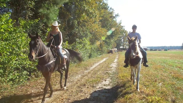 23592331_10155254404158460_7985234479476346959_o