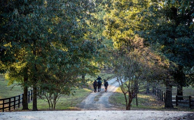Visit Aiken 7