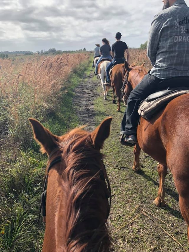 Horse Riding Orlando