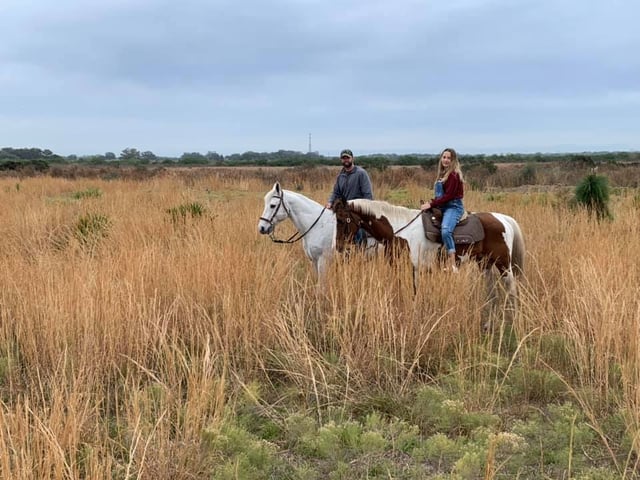 Experience Kissimmee 2