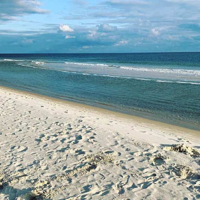 161278195_4299230116771640_4824913846774338526_o