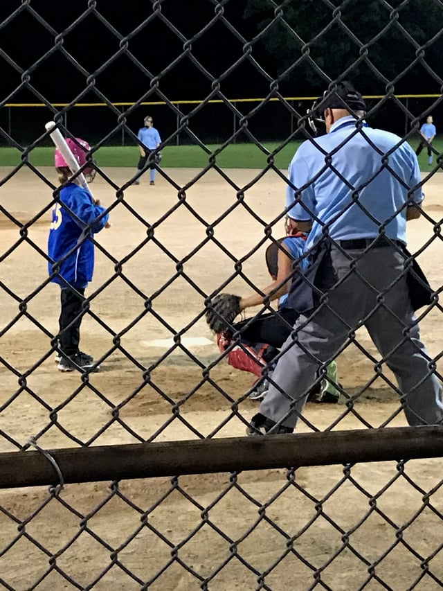 Umpire cage batter