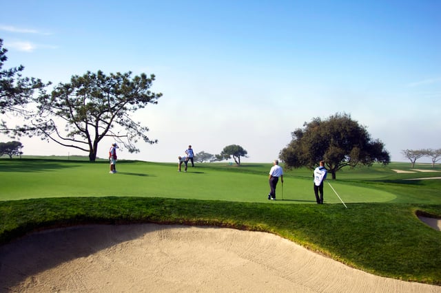 Torrey Pines golf Small