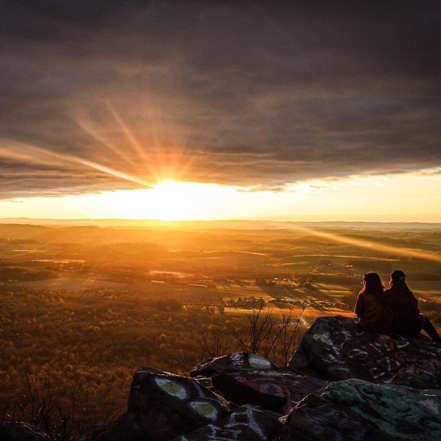 Bake Oven Knob