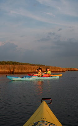 Kayaking_TaylorsIslandWMA_6113_4Eblast.jpg