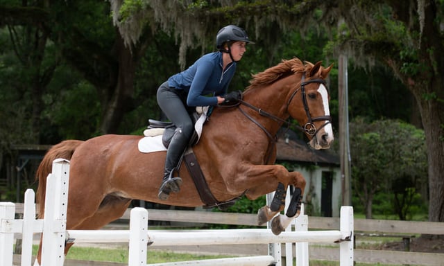 119870858_3367595483334616_2769302763080747324_n