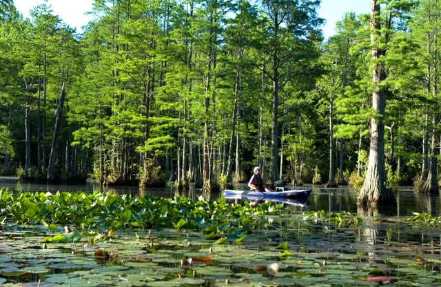 Cheraw State Park