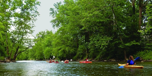 Sports Alliance of Greater Akron 7