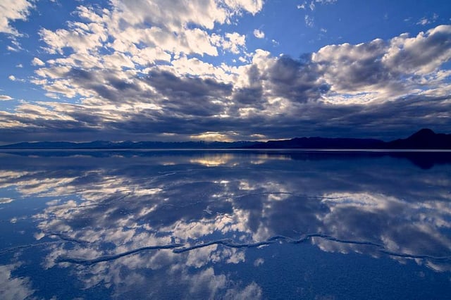 12440421_10153946331243936_1901261586988529224_o