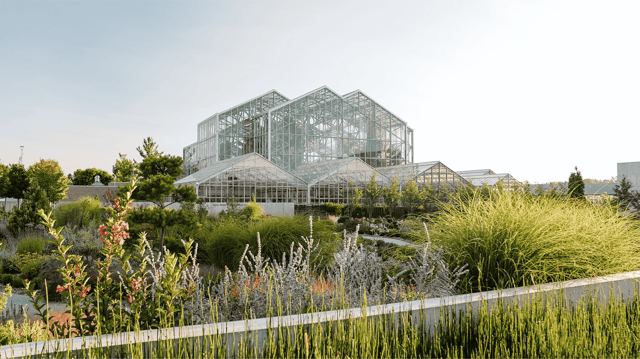 Untitled design (25).png