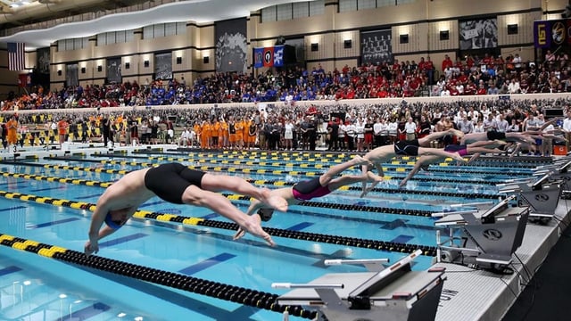 Mizzou Aquatics2.jpg