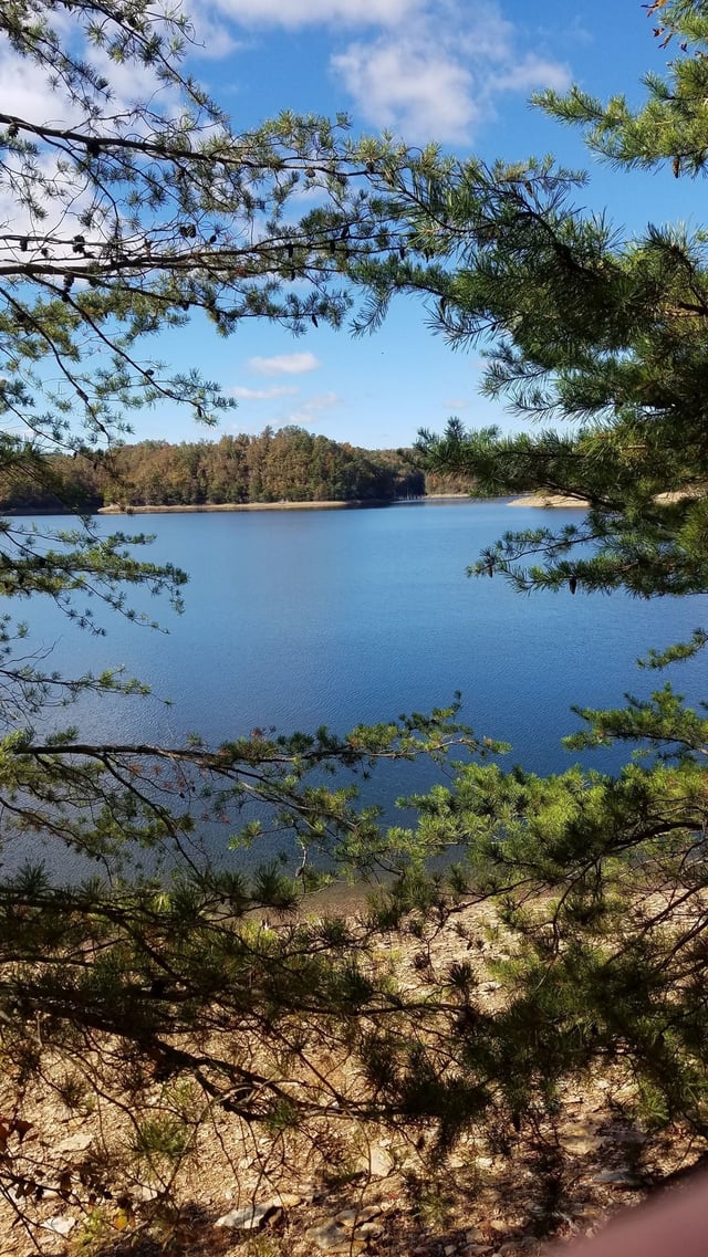 Laurel Lake Trail Timothy Shelton