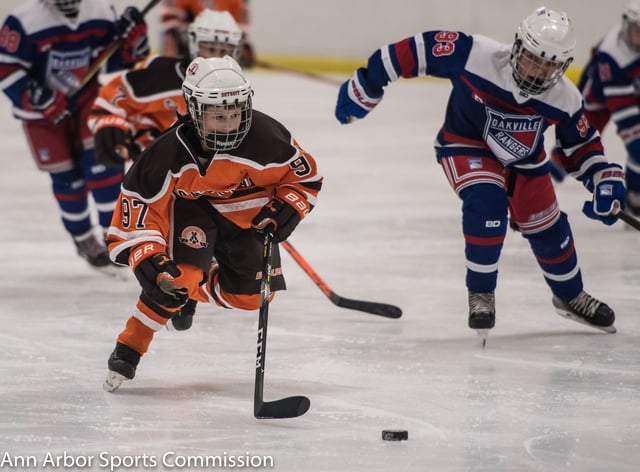 Ann Arbor Sports Commission 1