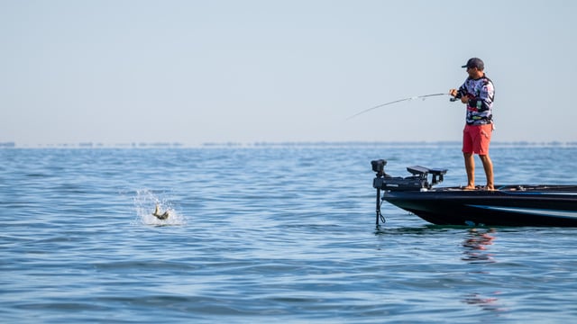 Lake Erie Photo - Major-League-Fishing-Lake-Erie-2.jpg
