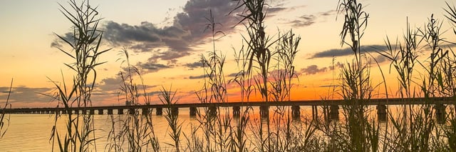 Play Coastal Mississippi header.jpeg