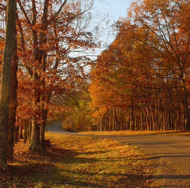 Graham Equestrian Center.png