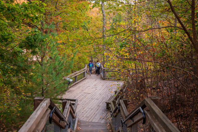 Nay_Aug_Park_Autumn_Smith_10_LCVB.jpg