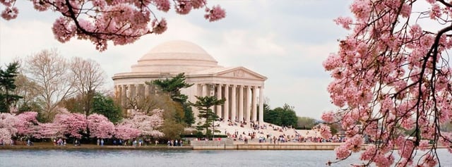 556882_614521068561907_870947626_n