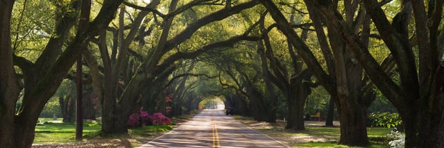 aiken header.jpeg