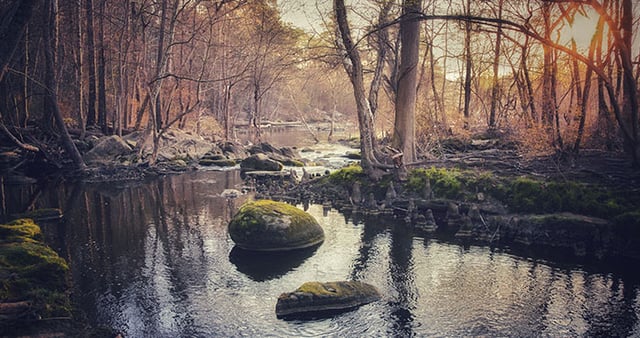 tarriver2.jpg