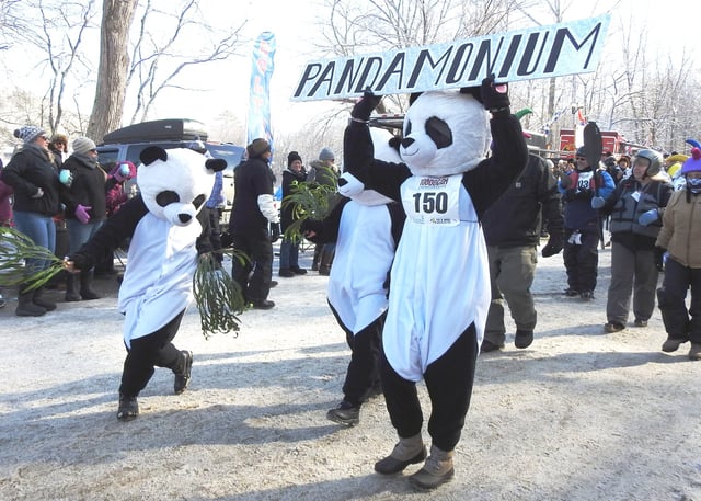 US toboggan champ.jpeg