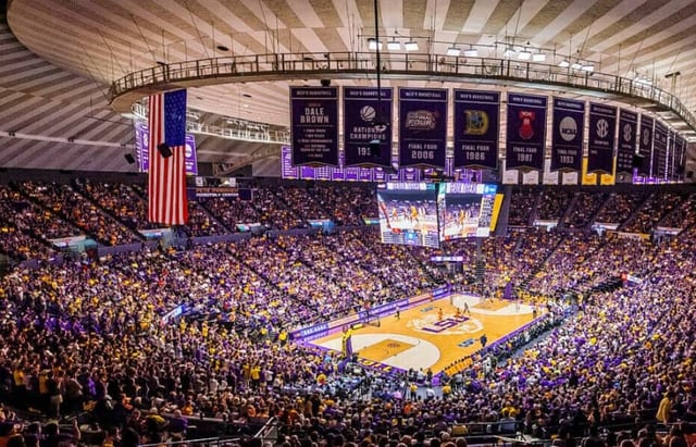 lsu full arena basketball.jpeg