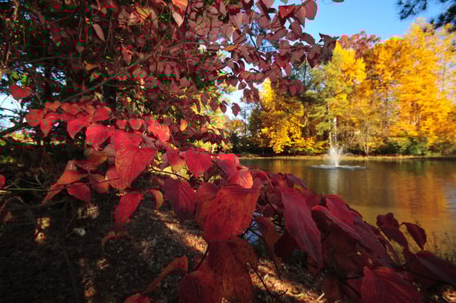 Explore Nash County 3