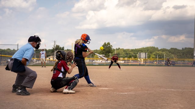 BlueChipFall-5-medium (1).jpg