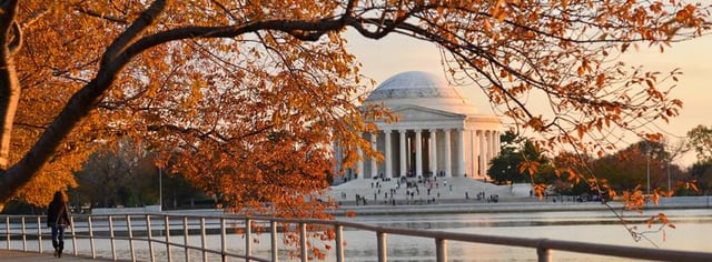 1209194_702791316401548_1404652221_n