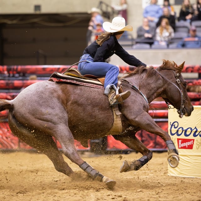 La Crosse Center bull riding.jpeg